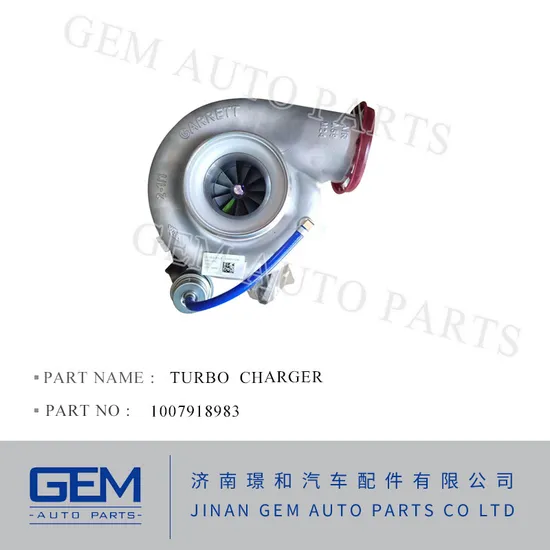 Turbo 1007918983 for Sany Lgmg Tonly Truck Weichai Engine Spare Parts