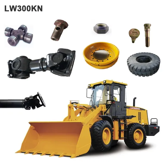 Wheel Loader Spare Parts for XCMG 300kN 13023273 1174421 13020488 13067054 