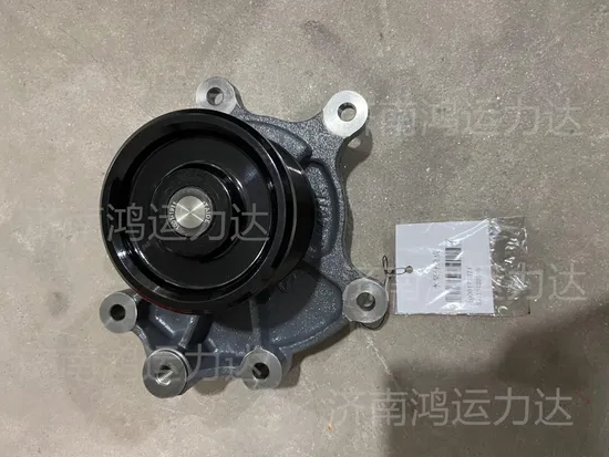 Tonlg Lgmg Engine Part Wp12 Wp13 Wp14 Water Pump1000173871 4110001050054 1000103510 1015936948 Vg1246060094 1008975900 612600061426 612600061296 