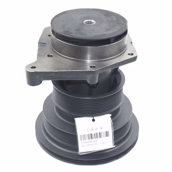 612600061697 Water Pump Sinotruk HOWO Shacman Foton Auman JAC Shantui XCMG Doosan Engine Parts