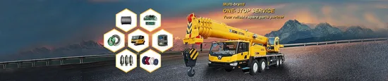 Heavy Machinery Spare Parts Supplier for XCMG Sany Zoomlion Truck Crane Spare Part for Sale 