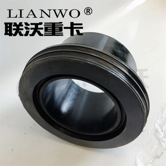 Tonly Tl875h Tl855 Truck Parts Balance Shaft Bushing 4190001651 